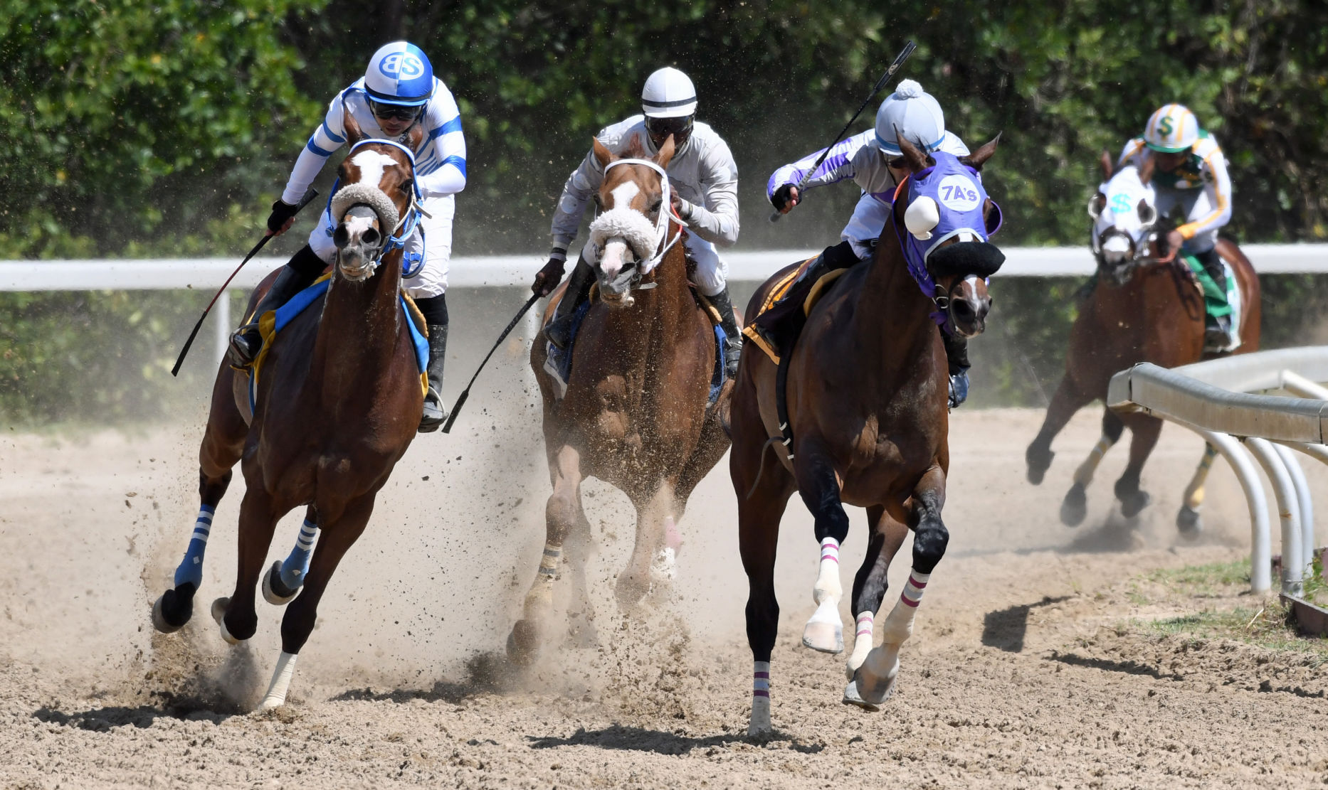 Horse racing